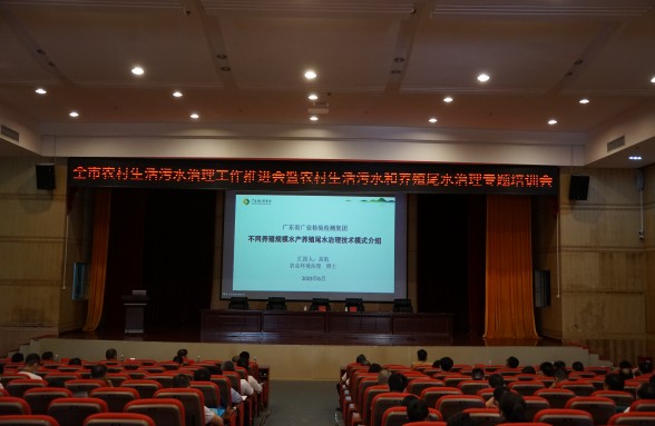 海洋牧場，生態先行，省環保基金會助力陽江建設海洋牧場